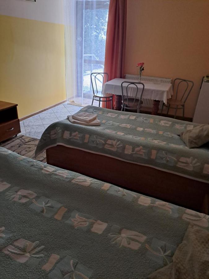 Hotelik Warmia -Pensjonat, Hostel Lidzbark Warmiński Εξωτερικό φωτογραφία